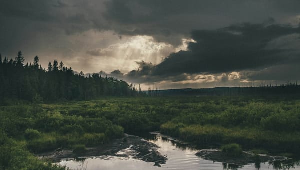 A folder of themed music playlists